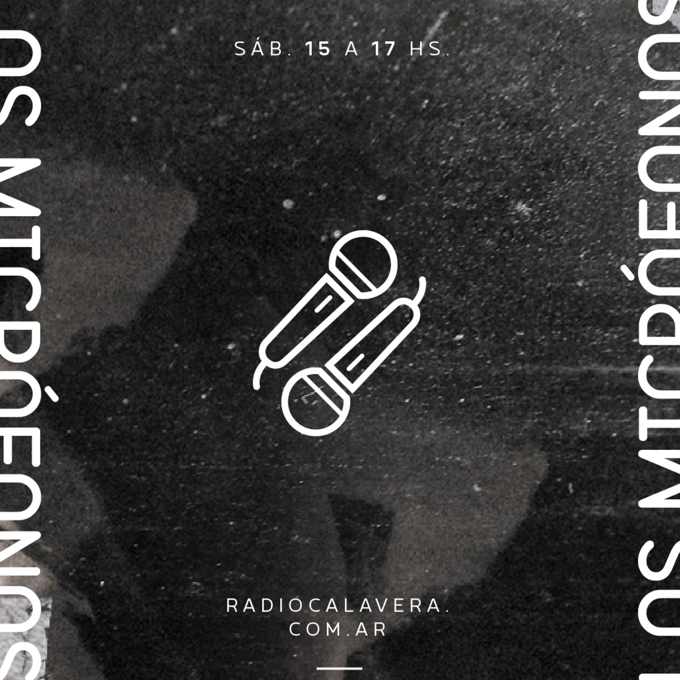 Los Micrófonos