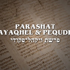 Parashat Vayaqhel y Pequdey - 2020 (Sobre el Shabat y su practicidad)