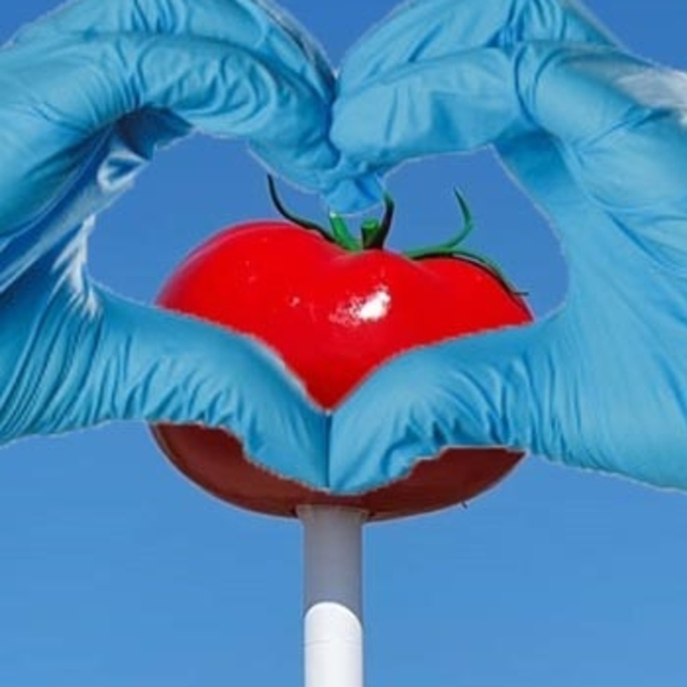 Radio Miajadas a la carta