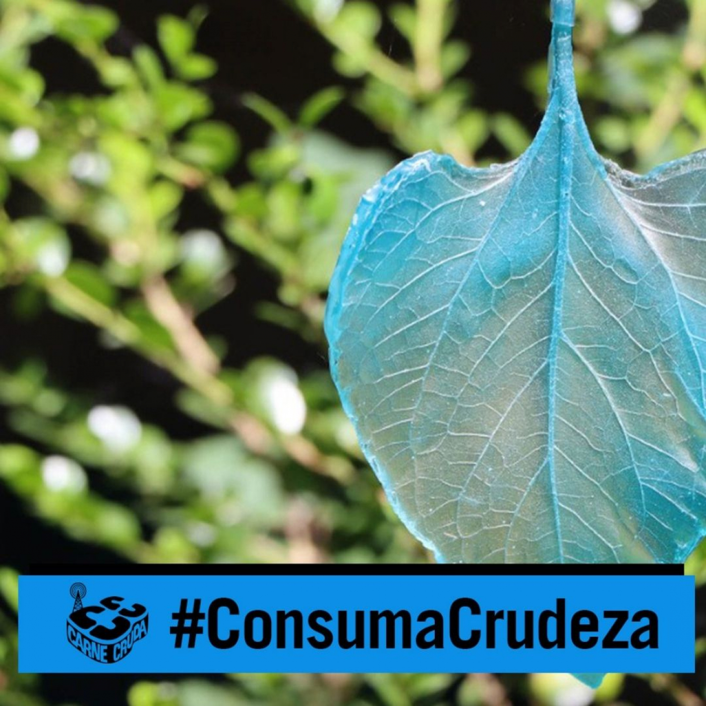 Consuma Crudeza: Arte contra el cambio climático (CARNE CRUDA #1007) episode artwork