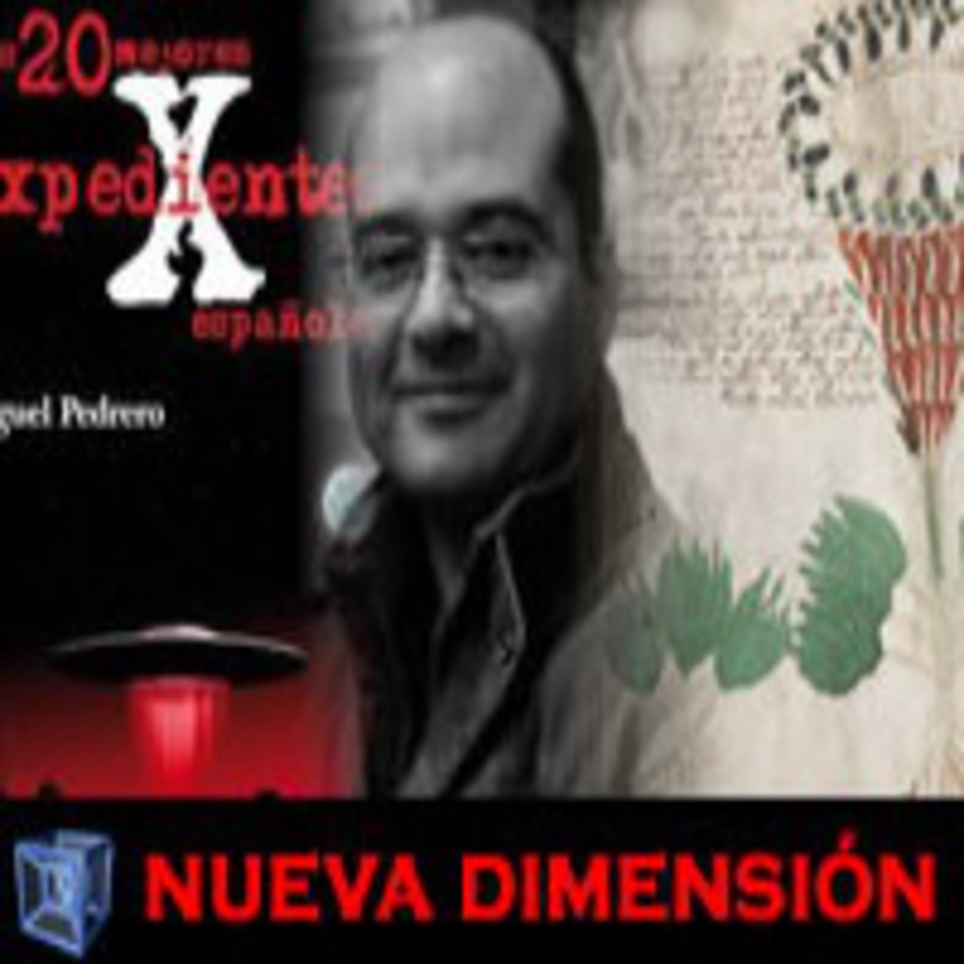 NUEVA DIMENSIÓN