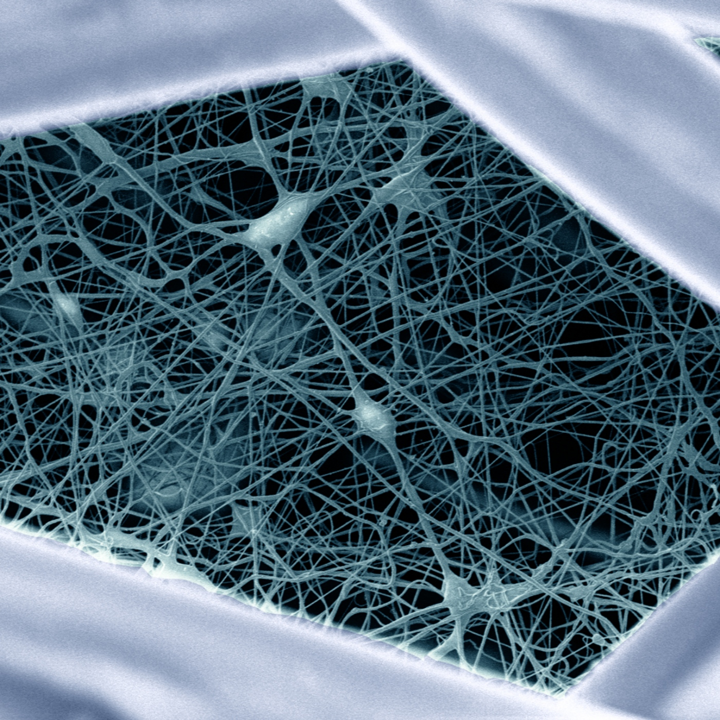 Fotciencia18