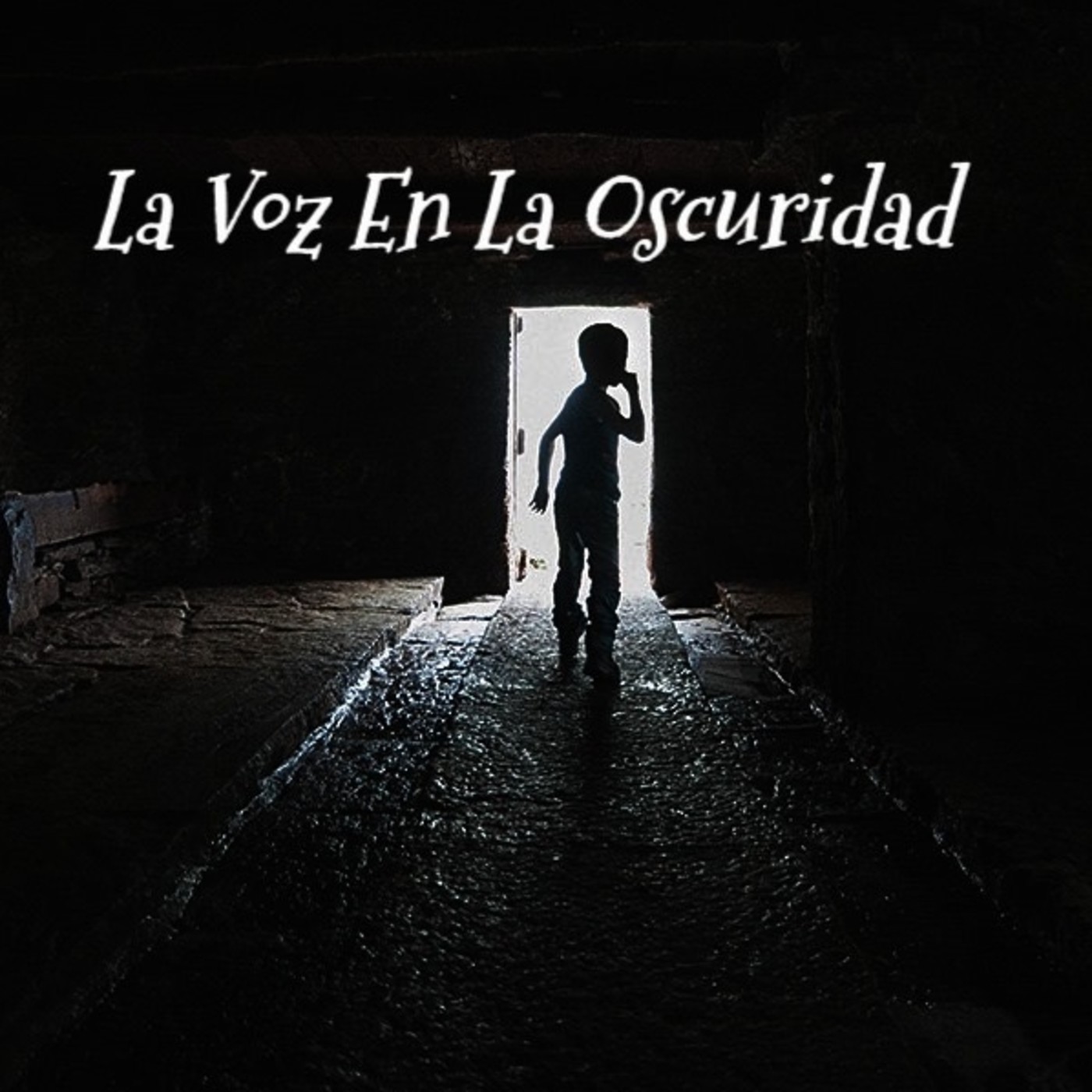 La Voz en la Oscuridad