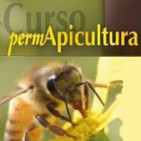 Como era la apicultura antes de que apareciera la Permapicultura