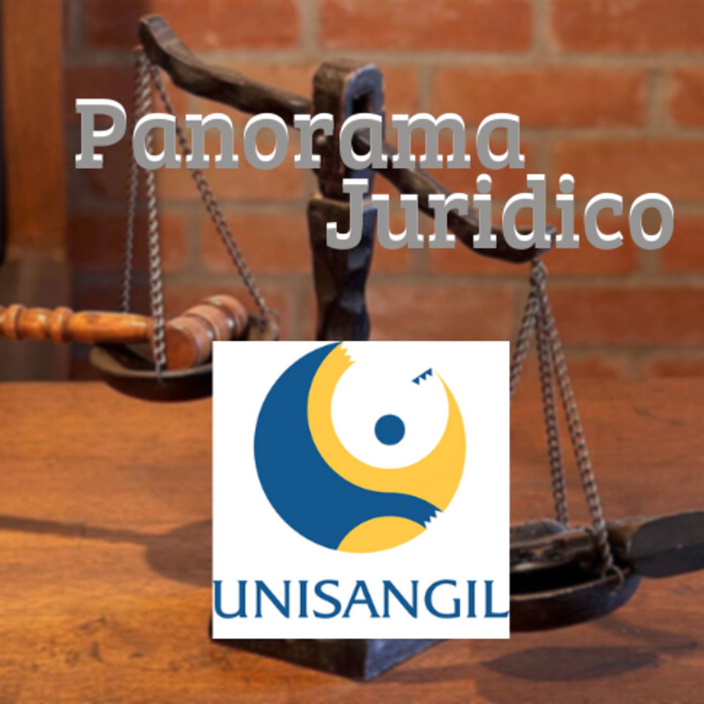 PANORAMA JURÍDICO