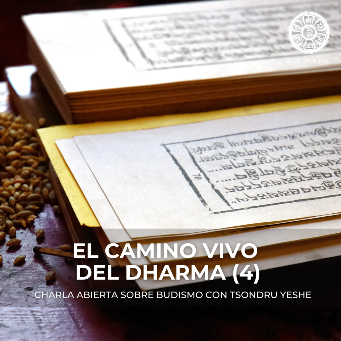 Charlas sobre Budismo con Tsondru Yeshe