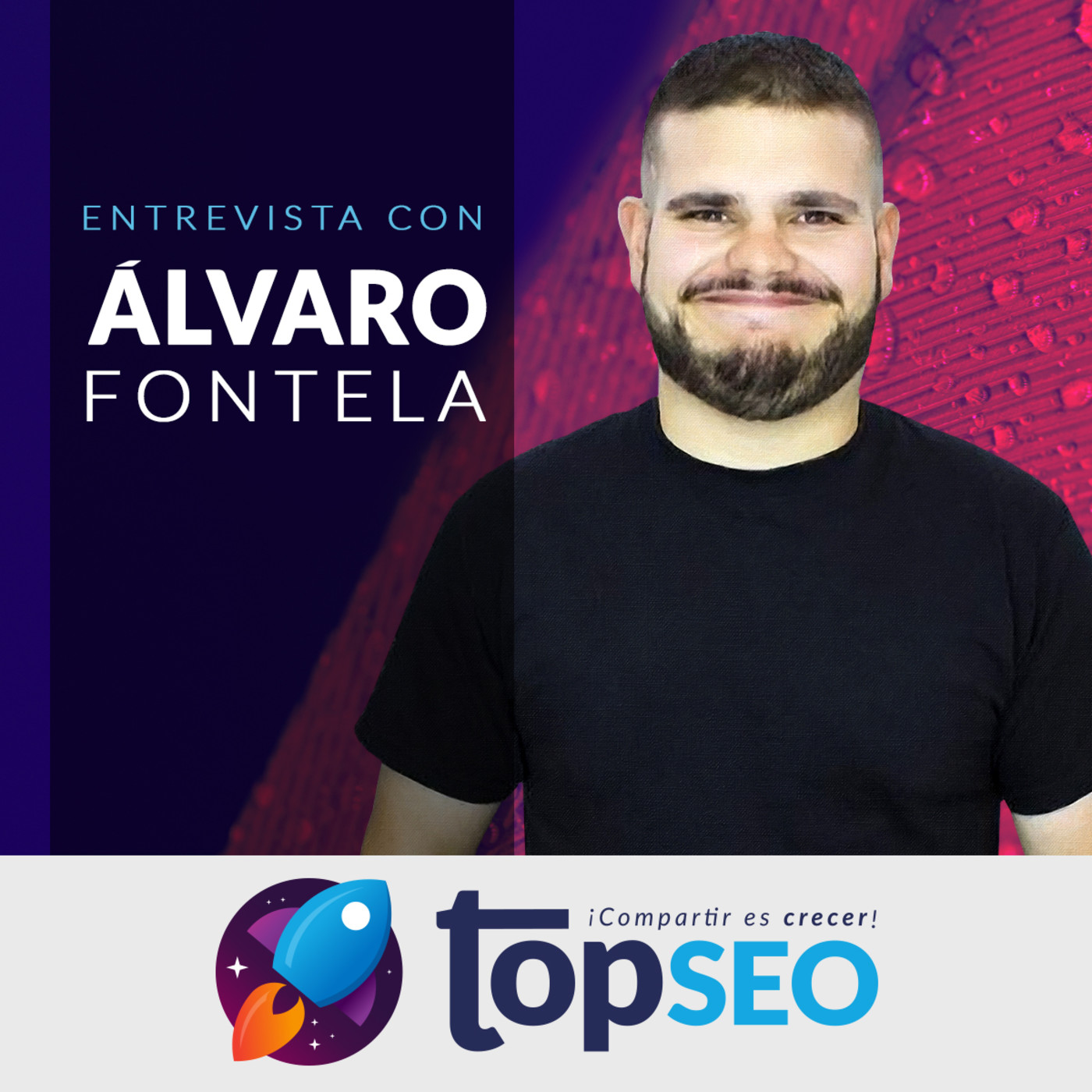 TOP SEO
