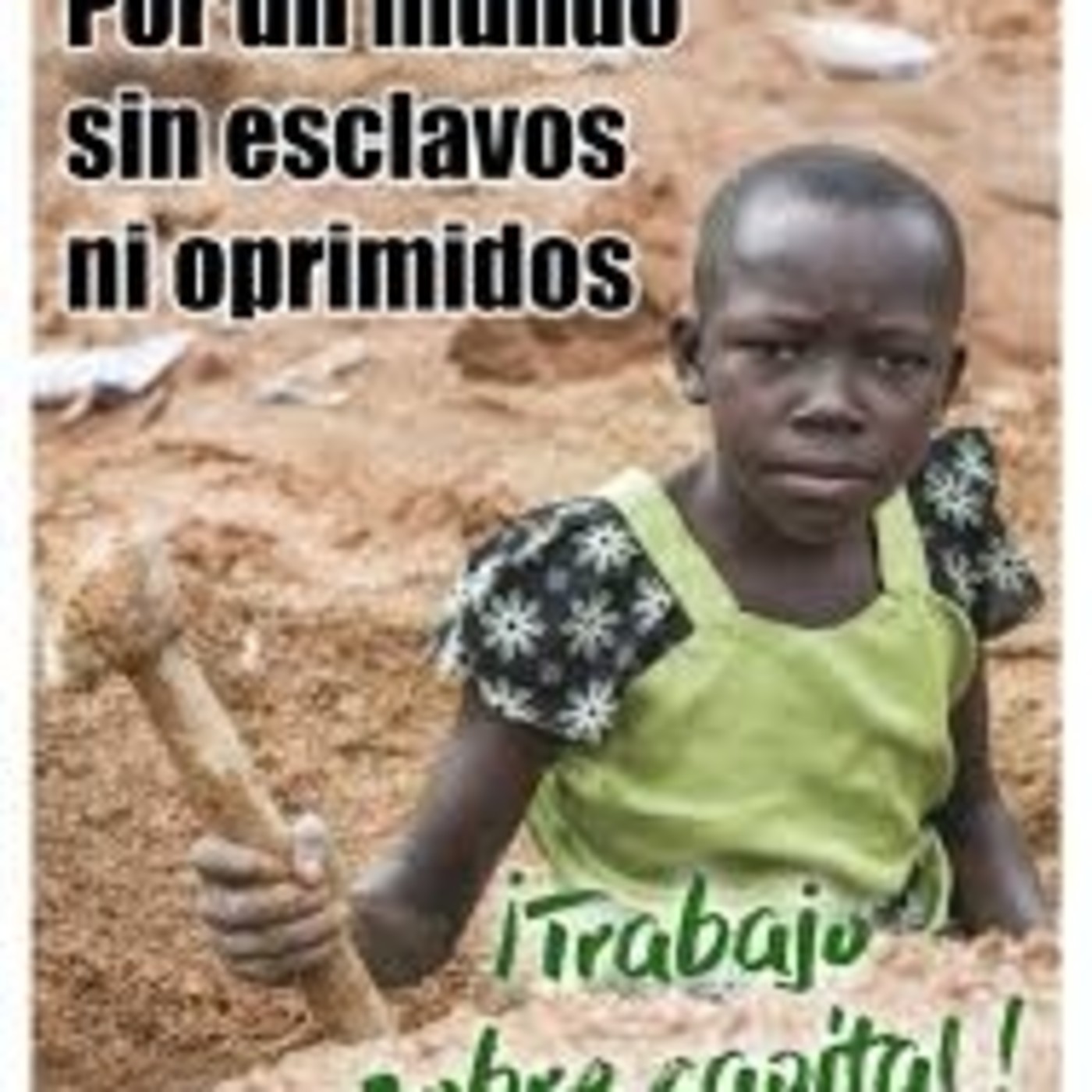 Análisis solidaridad