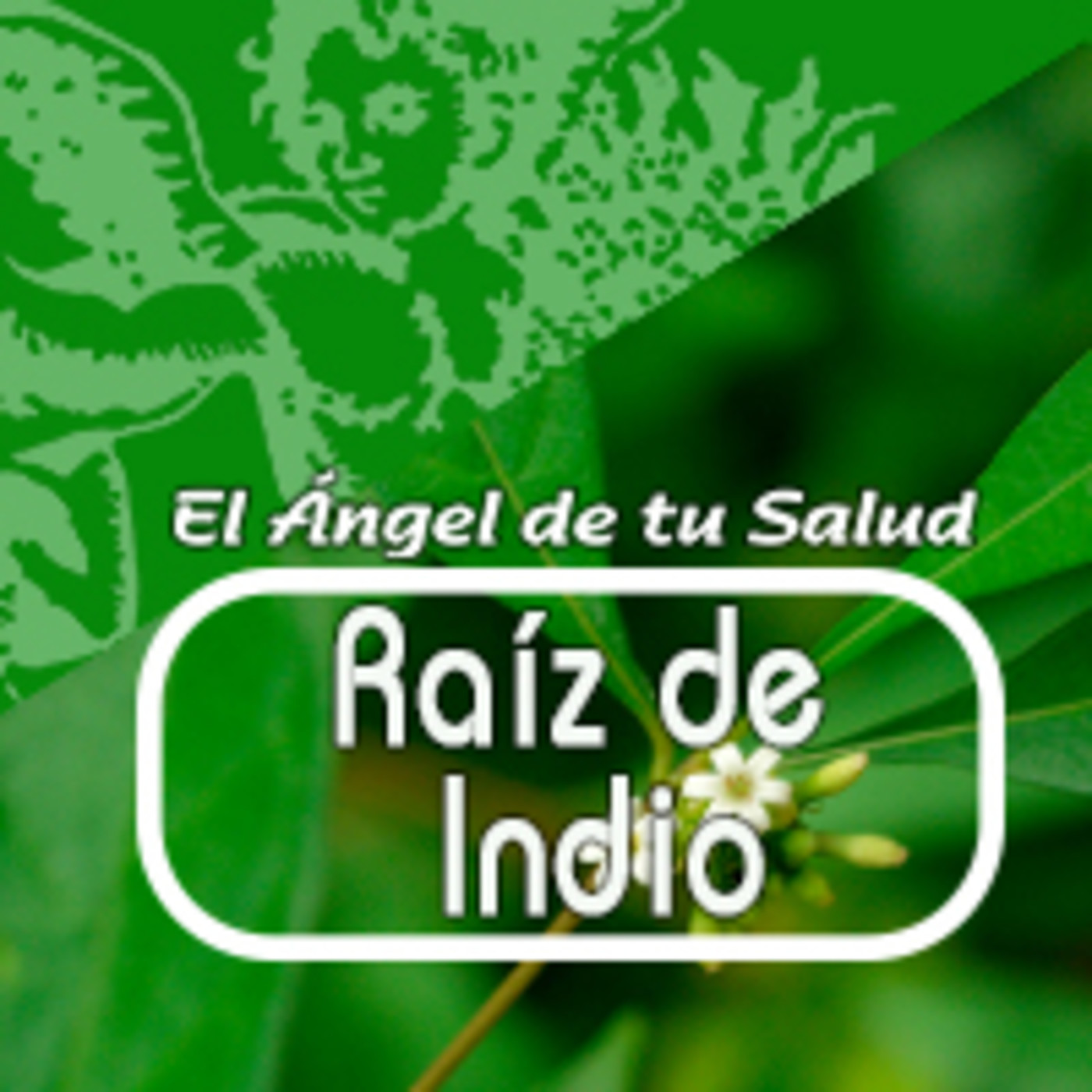 El Angel de tu Salud - RAÍZ DE INDIO** episode artwork