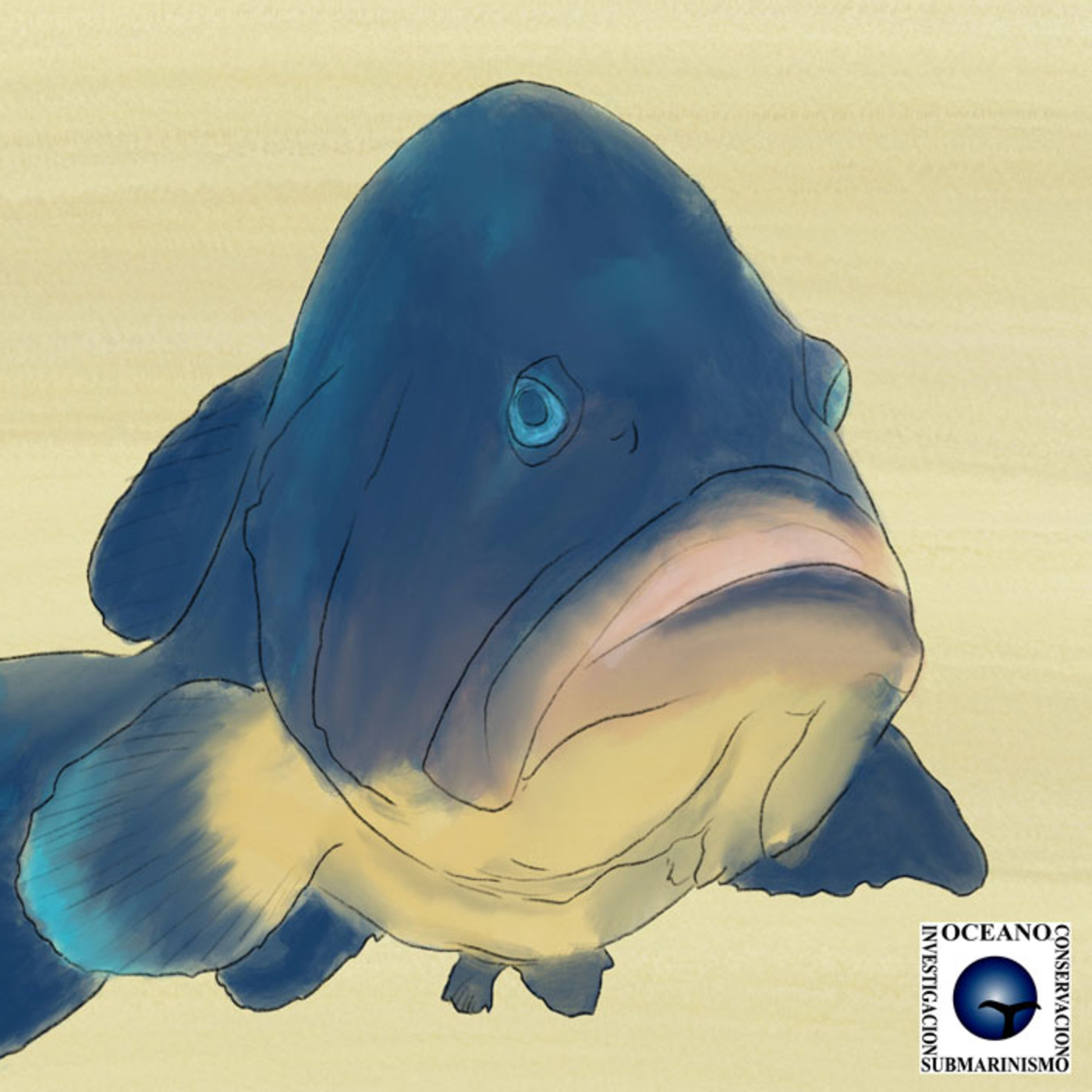 Al otro lado del espejo - Materia reservada