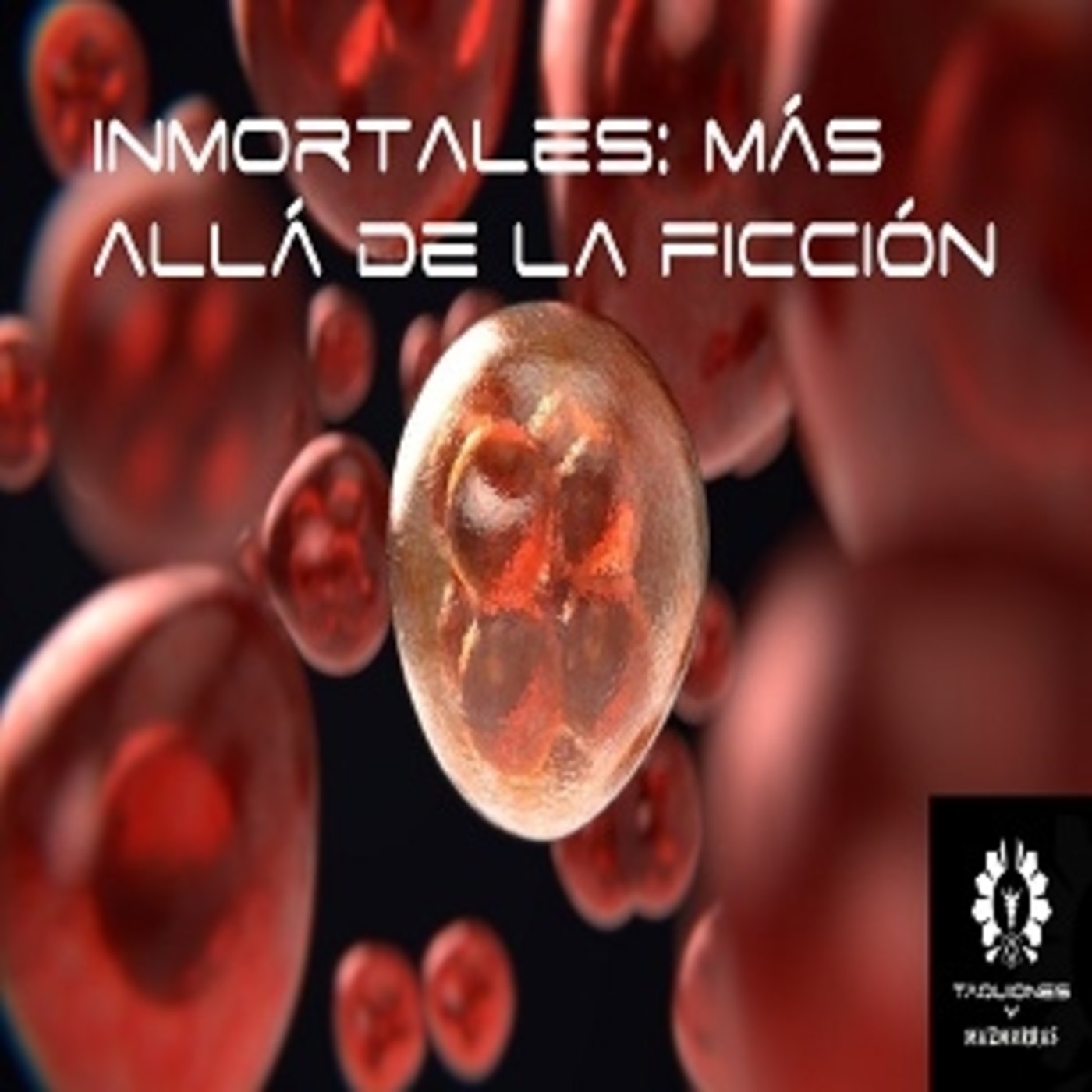 Taquiones y Mazmorras