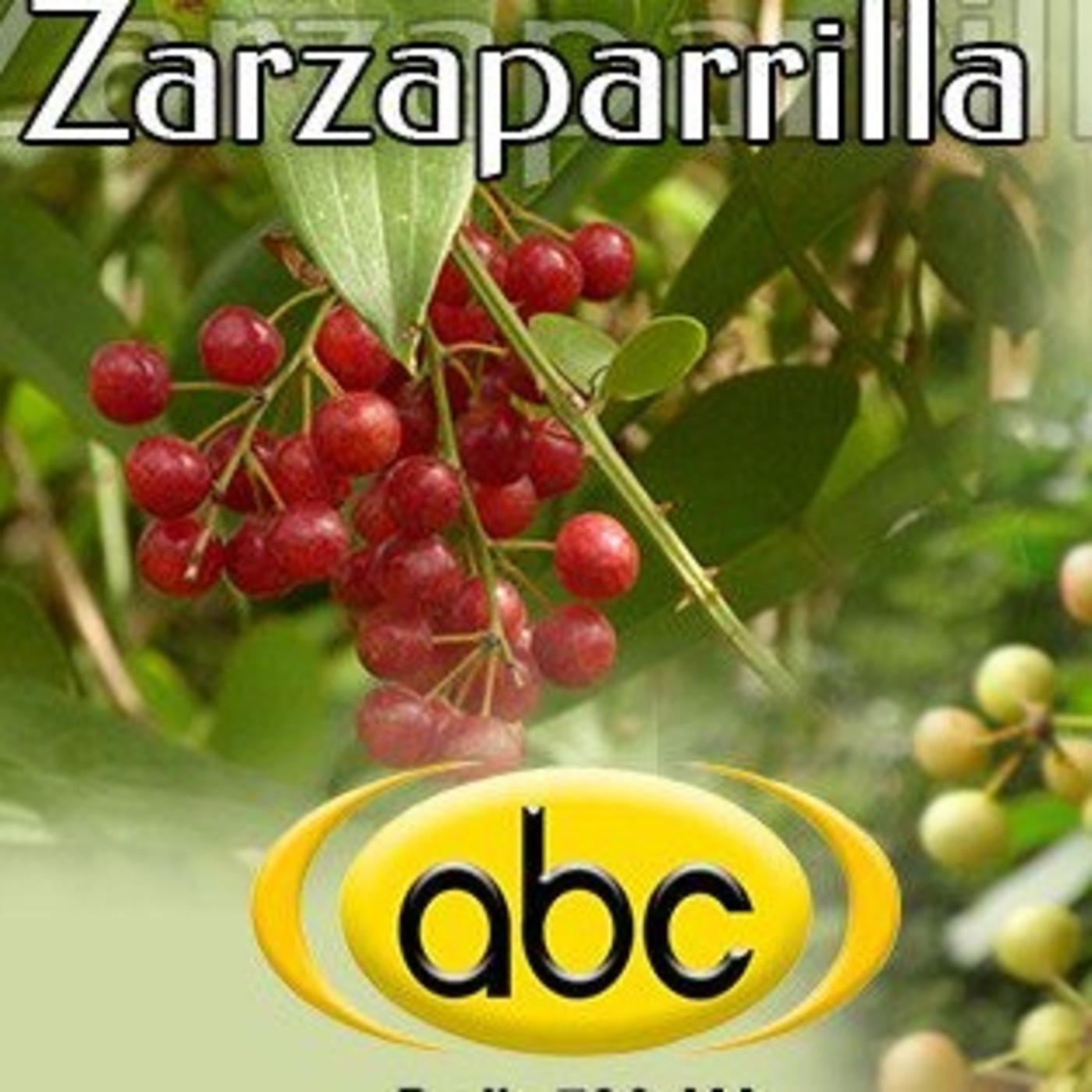 El Angel de tu Salud - ZARZAPARRILLA BLANCA episode artwork