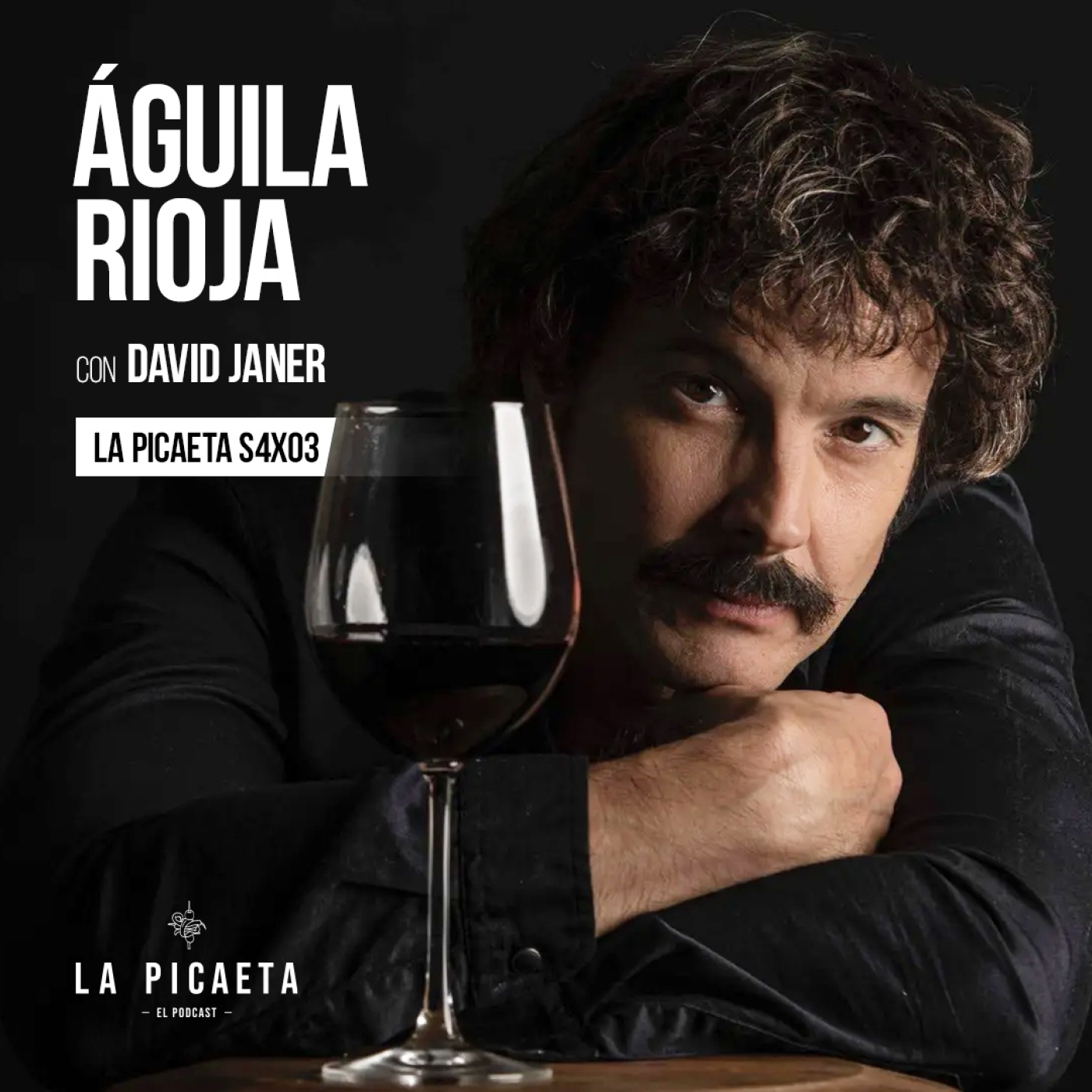 LA PICAETA