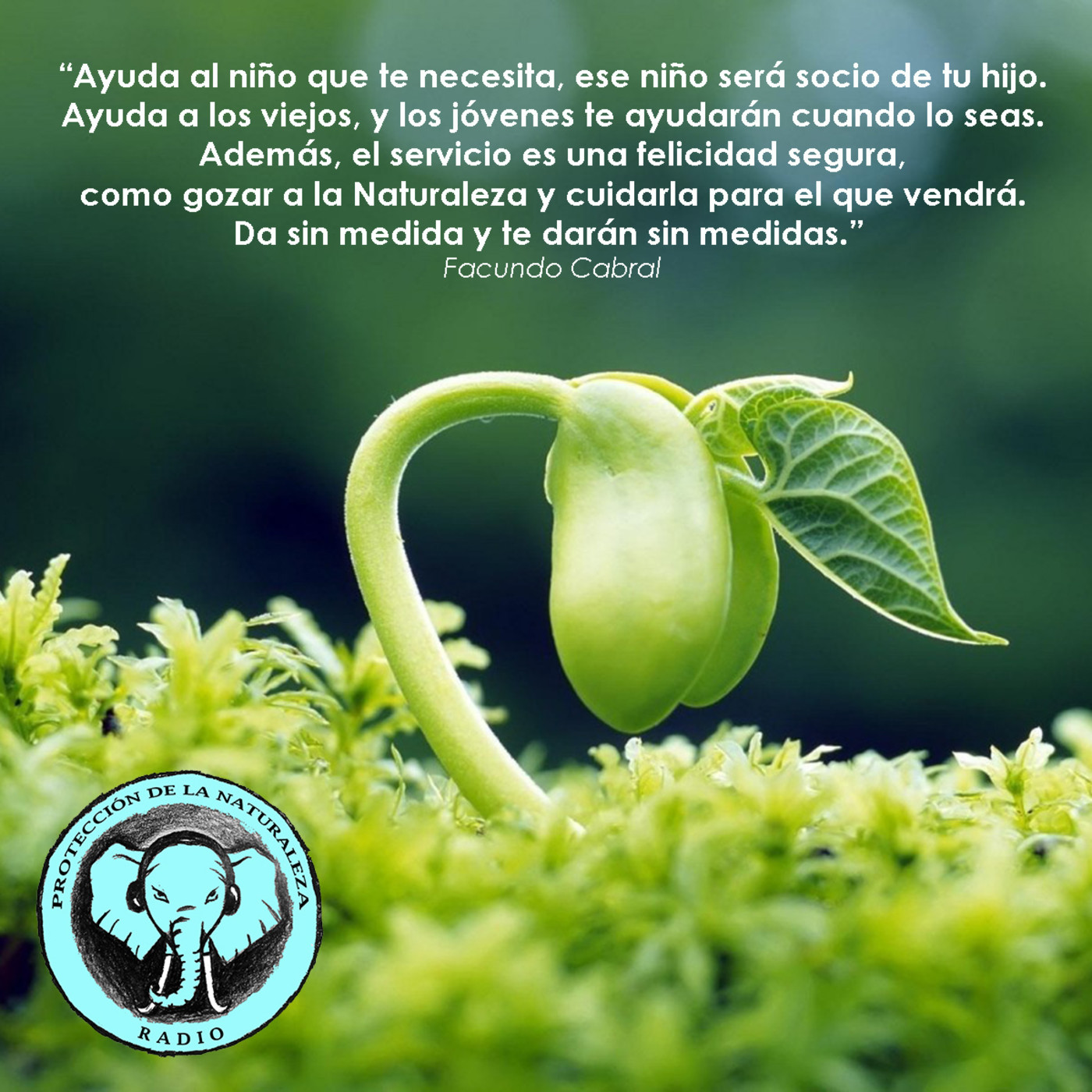 Protección de la Naturaleza Radio