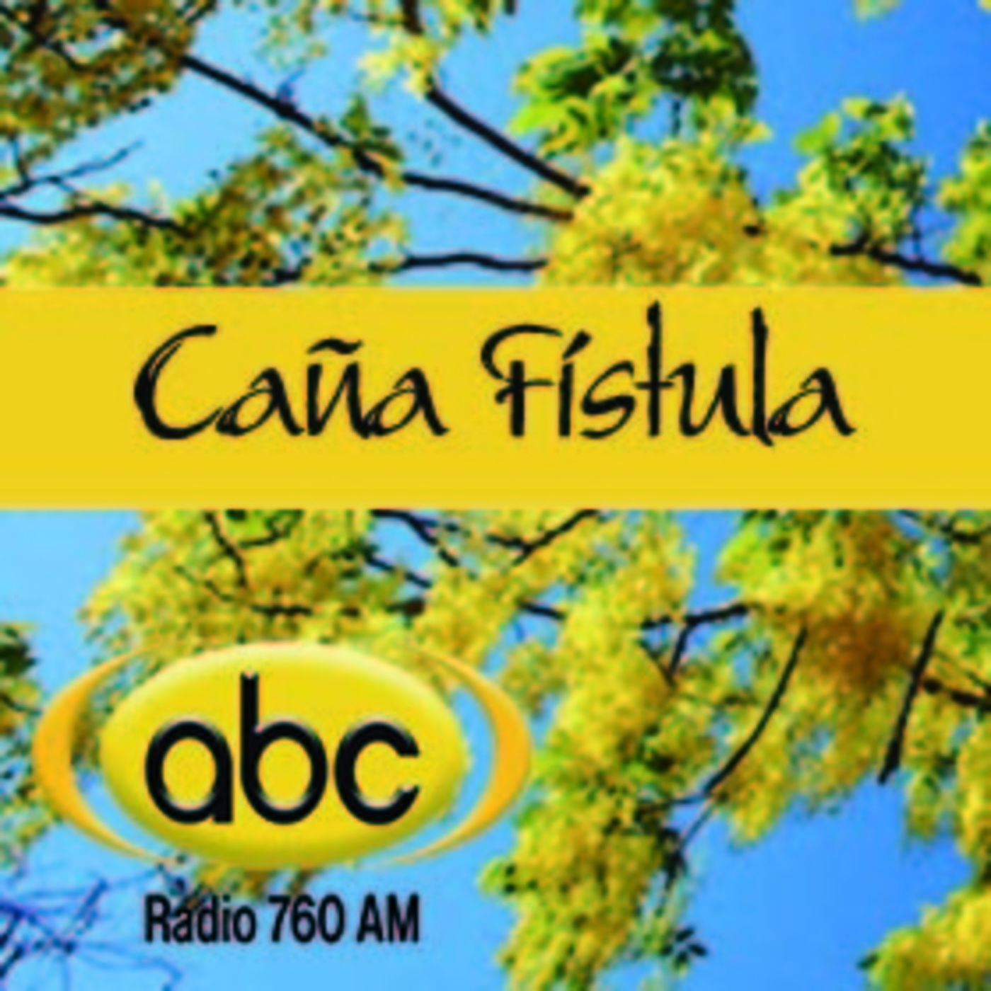 El Angel de tu Salud - CAÑA FÍSTULA II