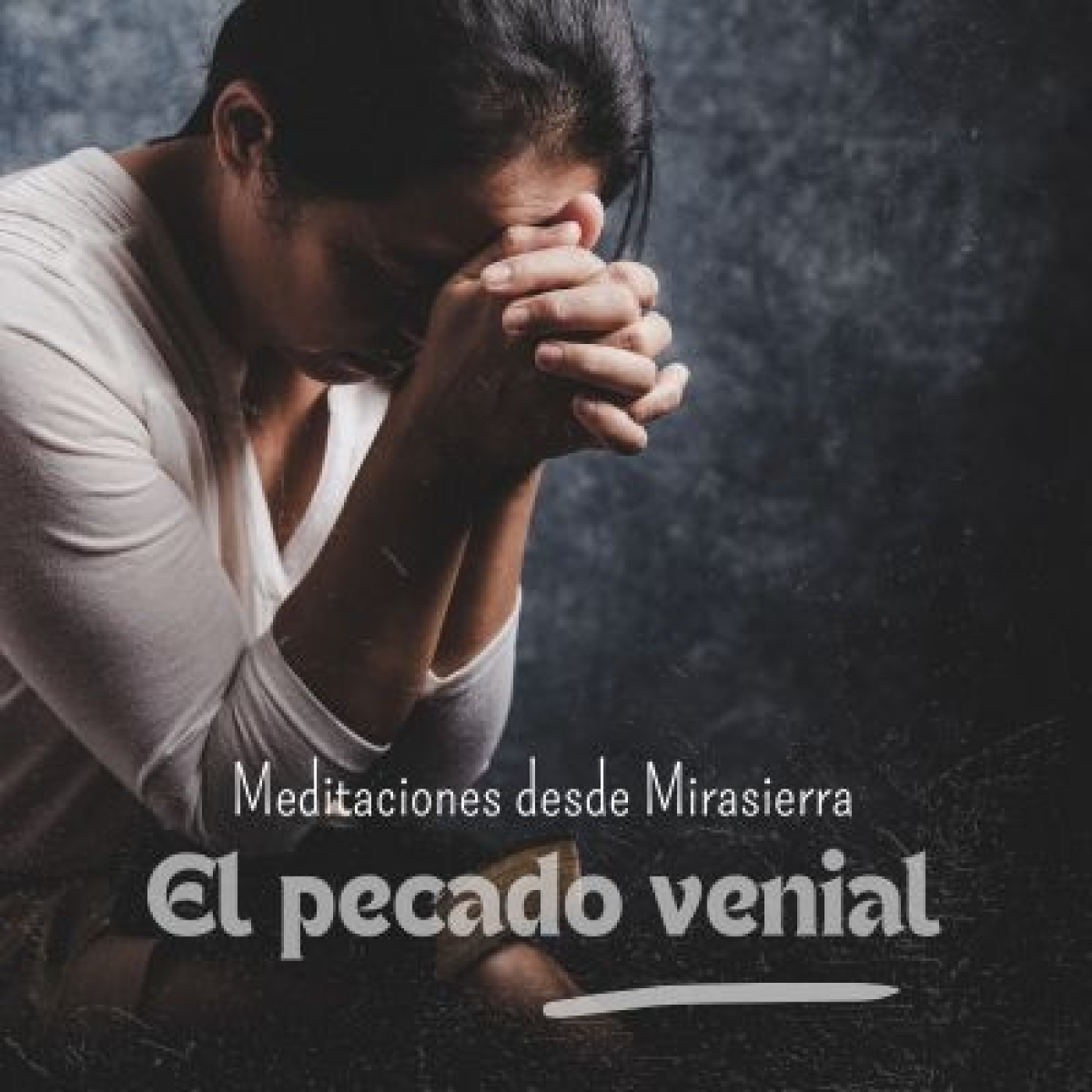 Meditaciones desde Mirasierra