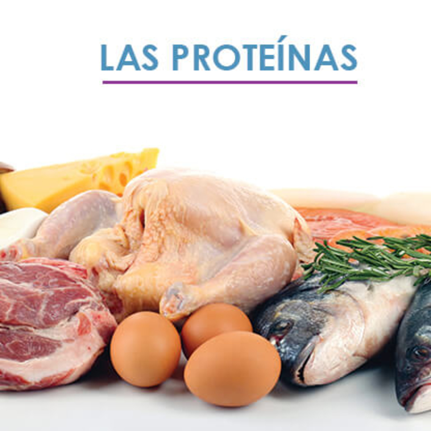 Las proteínas, funciones y beneficios episode artwork