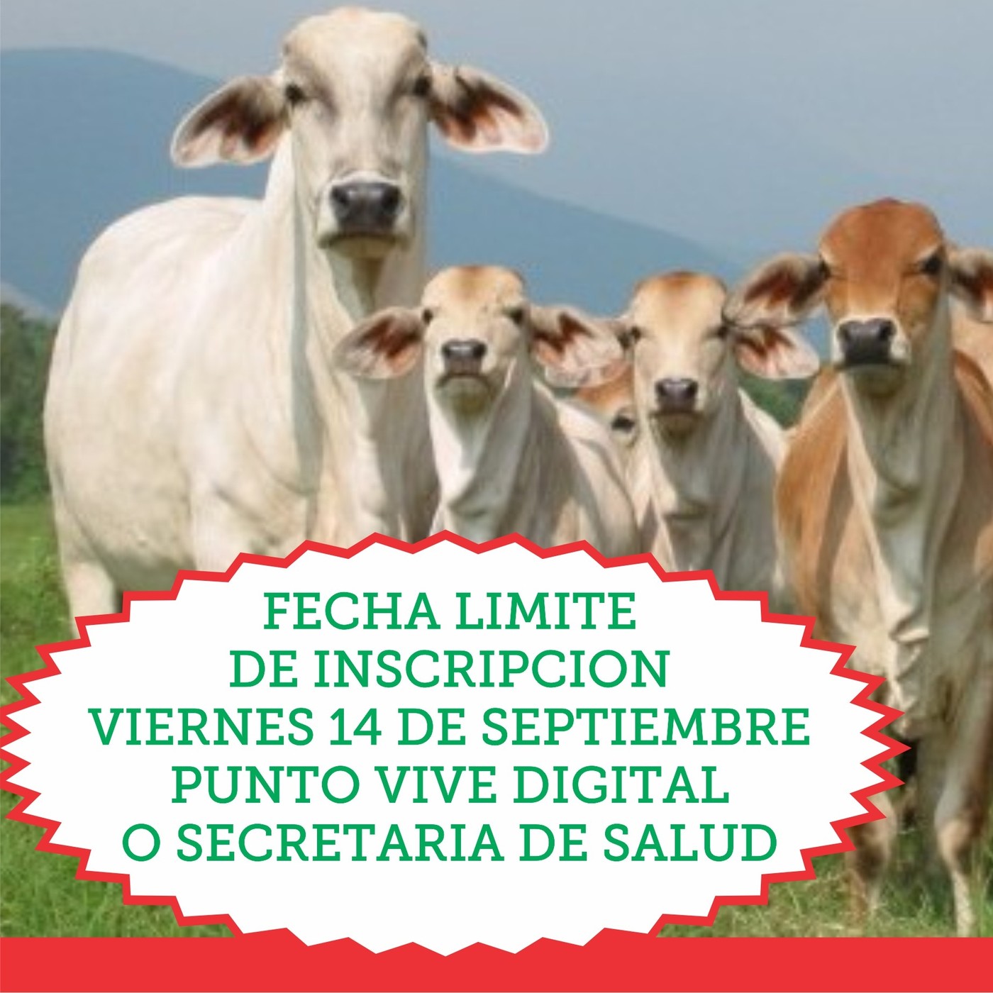 Capsulas informativas 2018