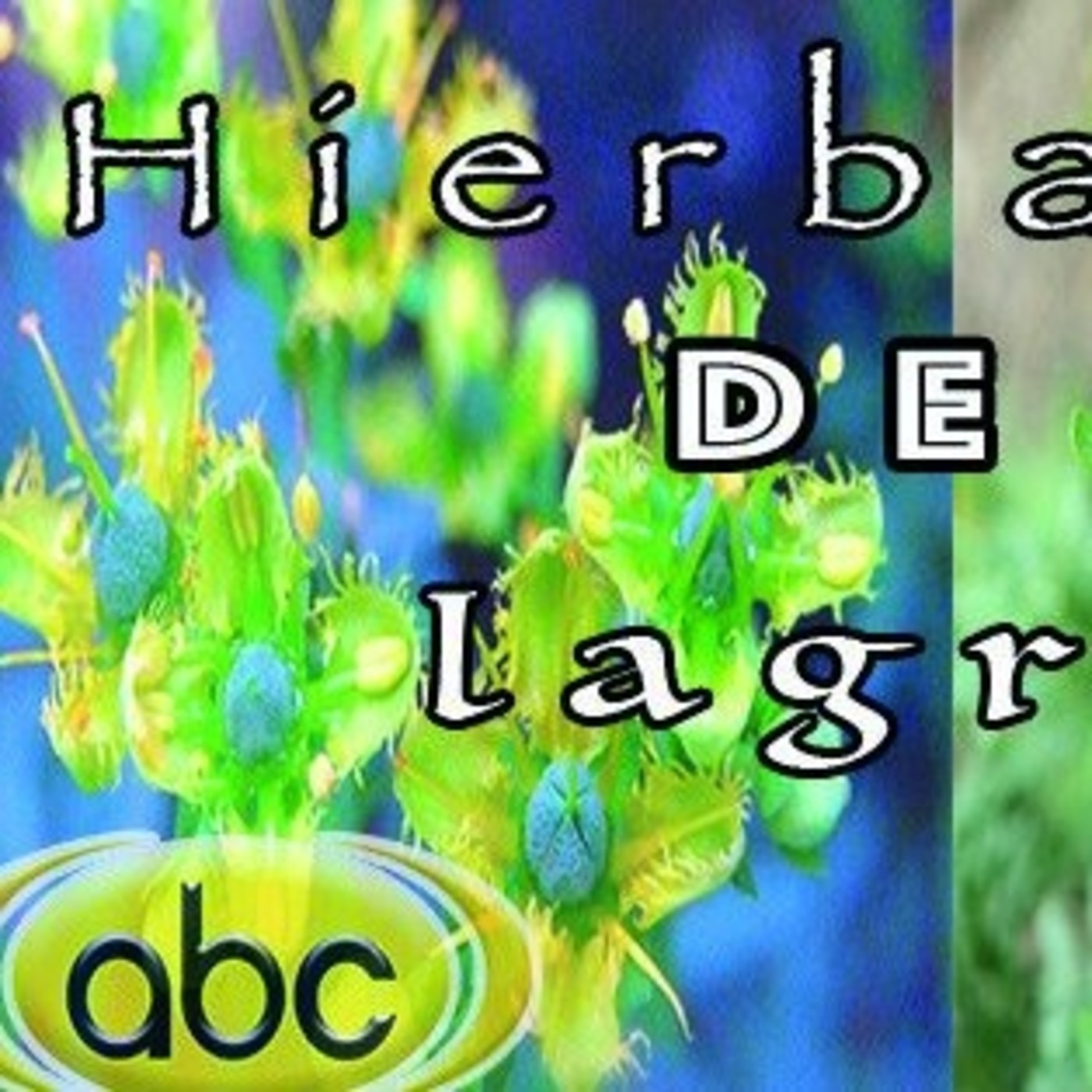 El Angel de tu Salud - HIERBA DE LA GRACIA