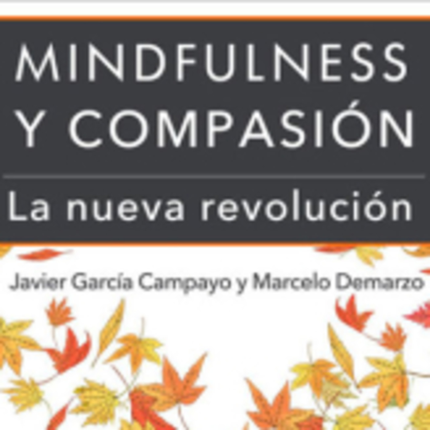 Compasión. Prácticas libro de J. García Campayo