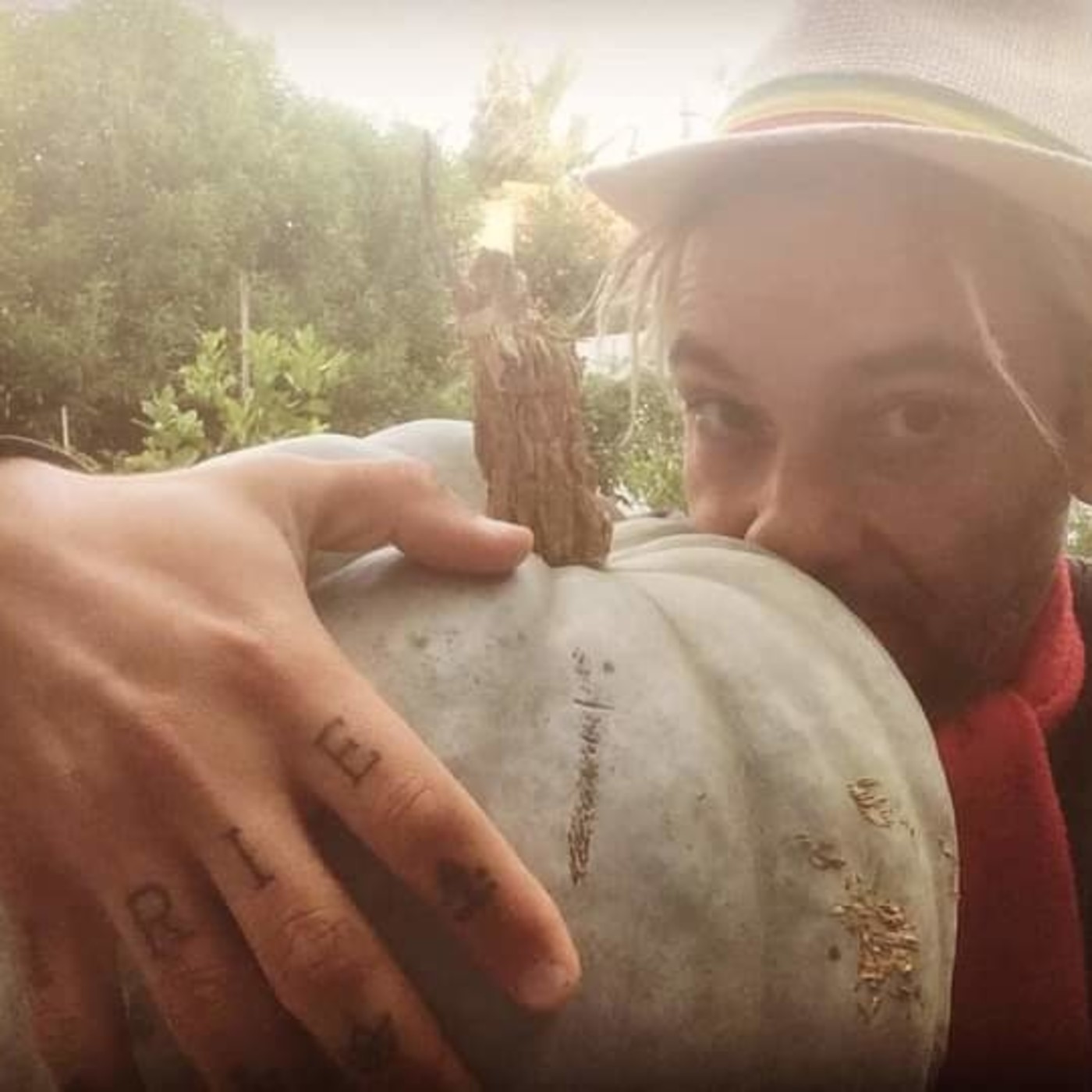 Reggae, Yoga y Sustentabilidad