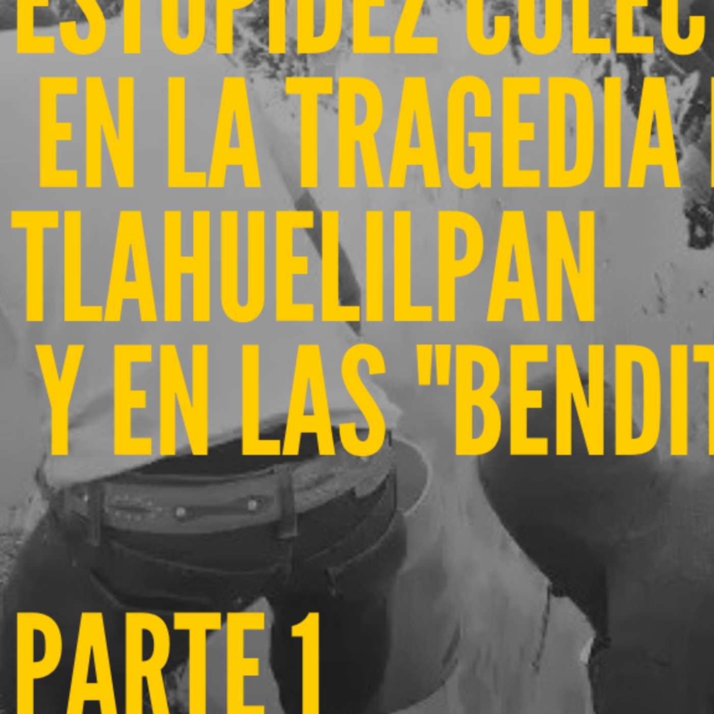 Me Canso Ganso MX