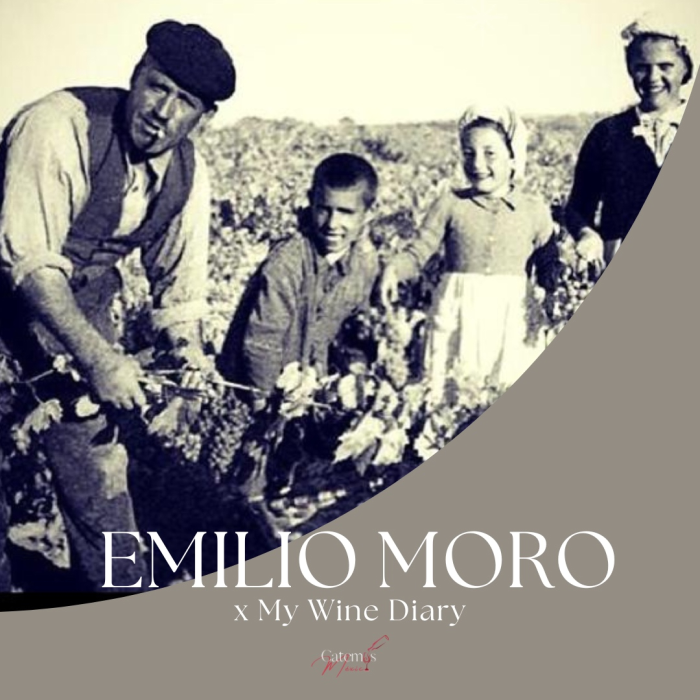 My Wine Diary by Jessica Kler - Catemos México