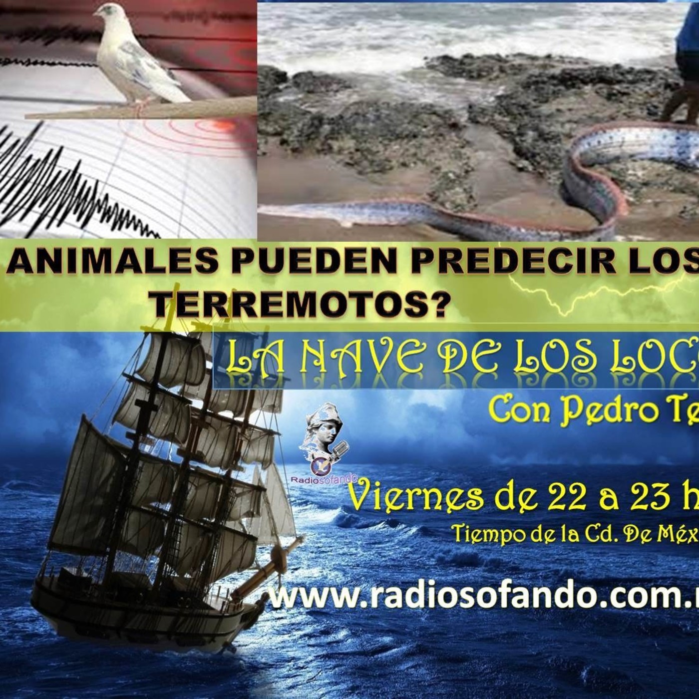 La Nave de los Locos_ANIMALES PREDICEN TERREMOTOS_03-07-20 episode artwork
