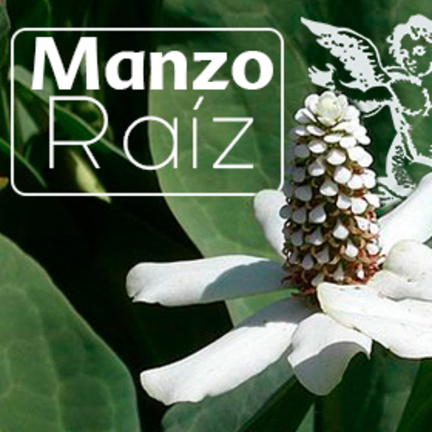 El Ángel de tu Salud - MANZO* episode artwork