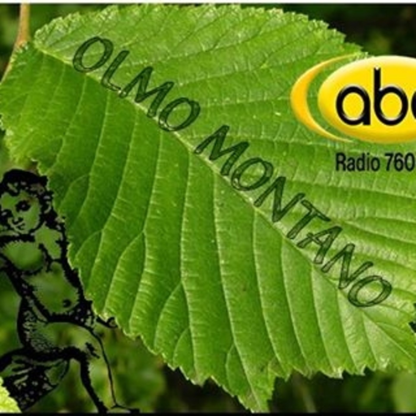 El Ángel de tu Salud - OLMO MONTANO episode artwork