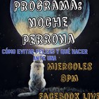 Noche perrona que hacer ante una pelea y como evitarla
