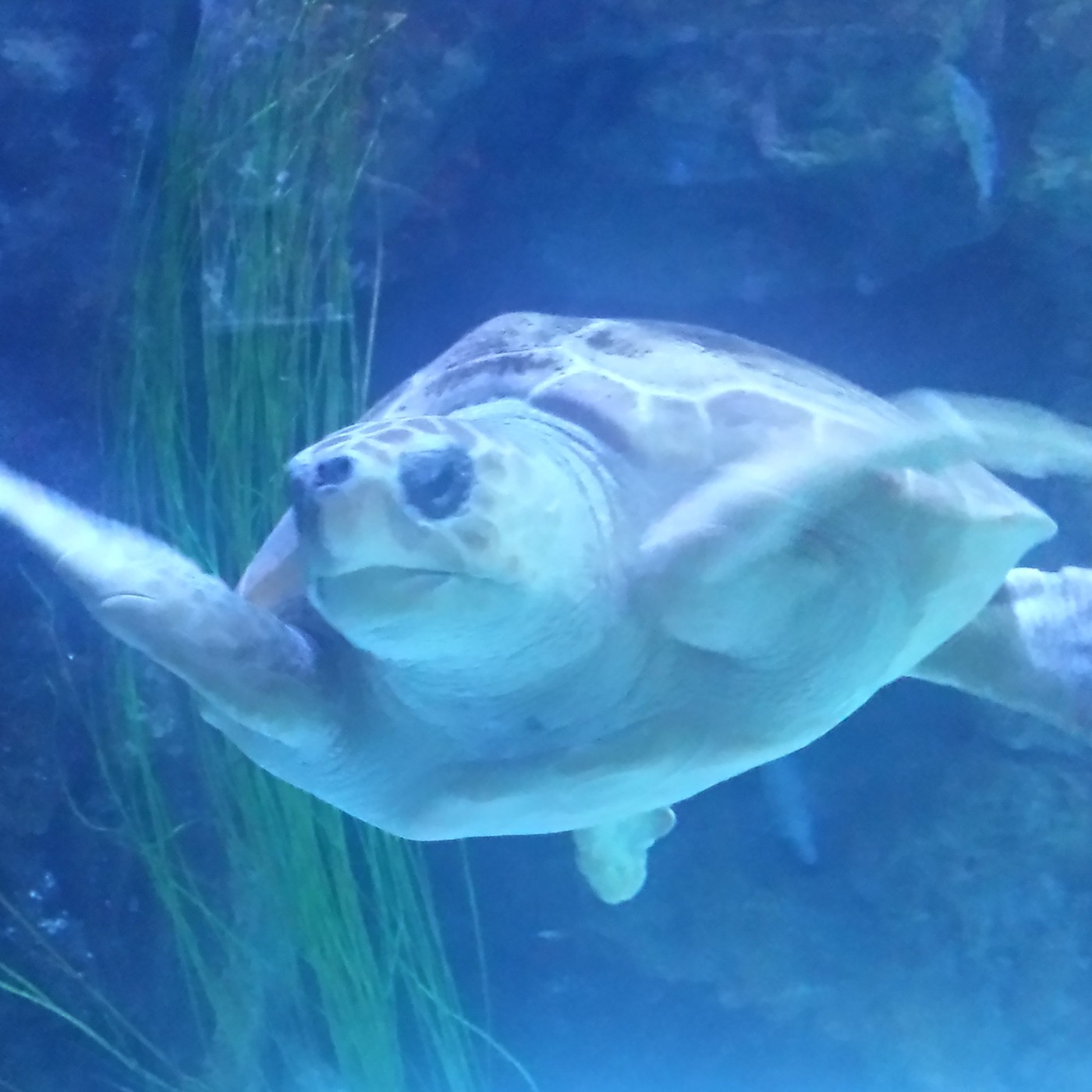 Nuestra Mente es Maravillosa