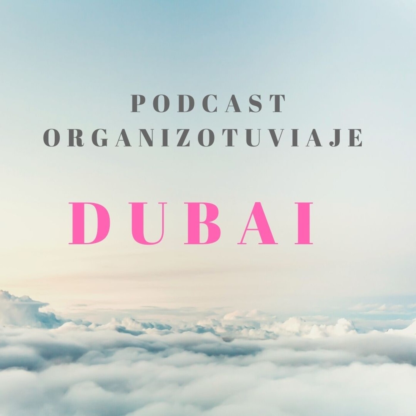 Organizotuviaje