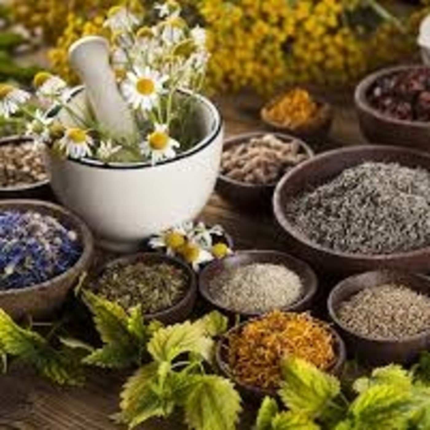Tarde Interactiva - Nutrición