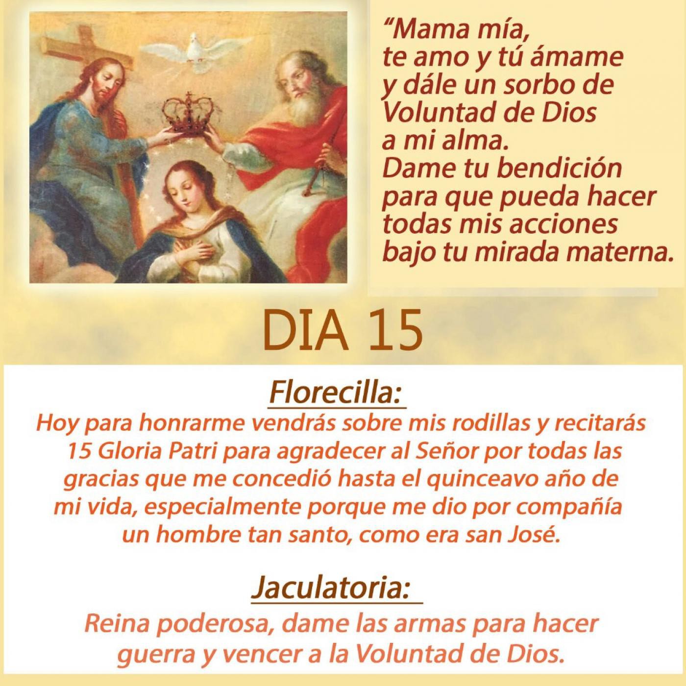 DIVINA VOLUNTAD CONSAGRACION A LA REINA DEL CIELO