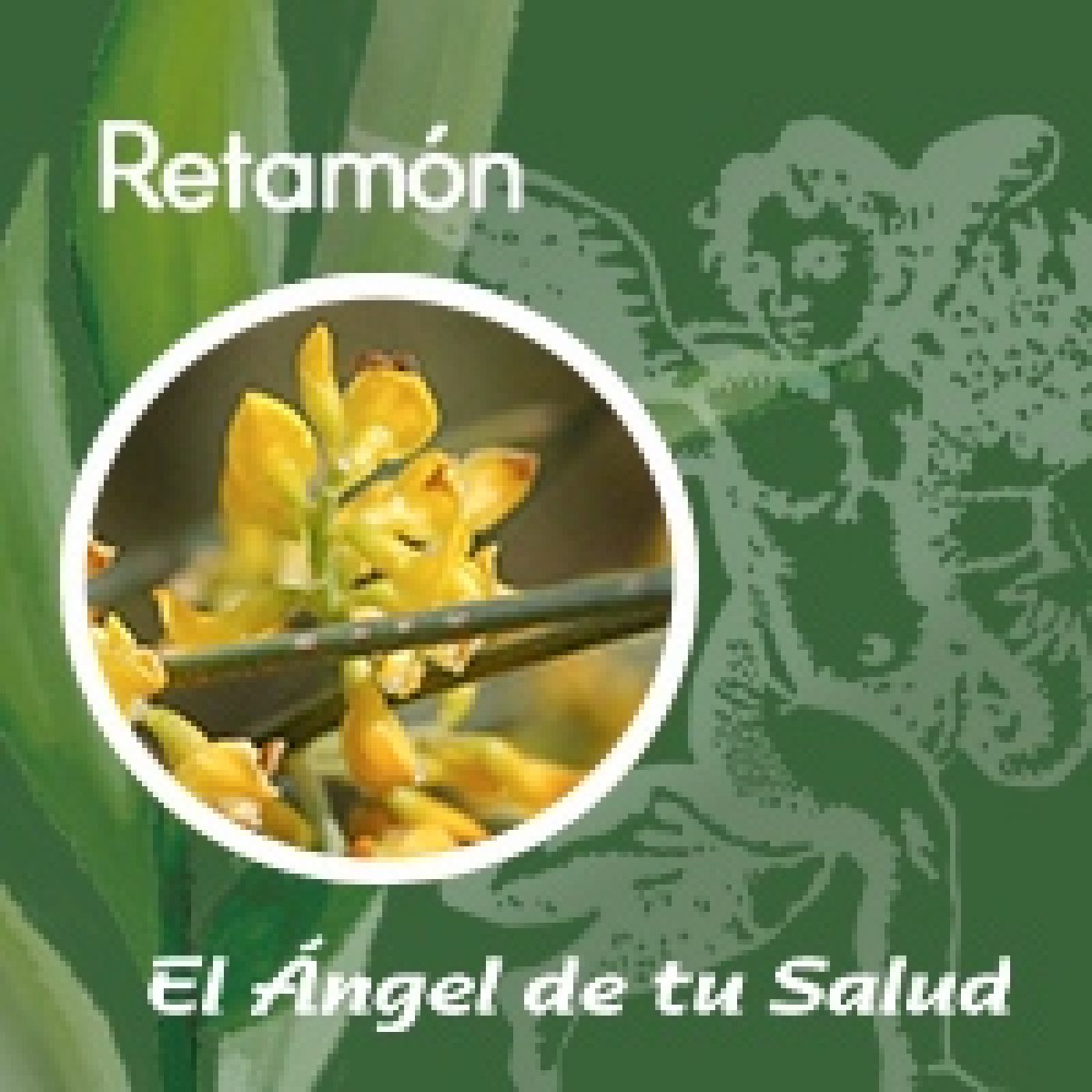 El Ángel de tu Salud - Retamón** episode artwork