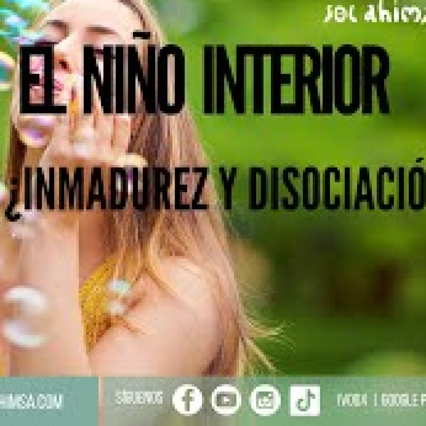 EL NIÑO INTERIOR, ¿INMADUREZ O DISOCIACIÓN? episode artwork