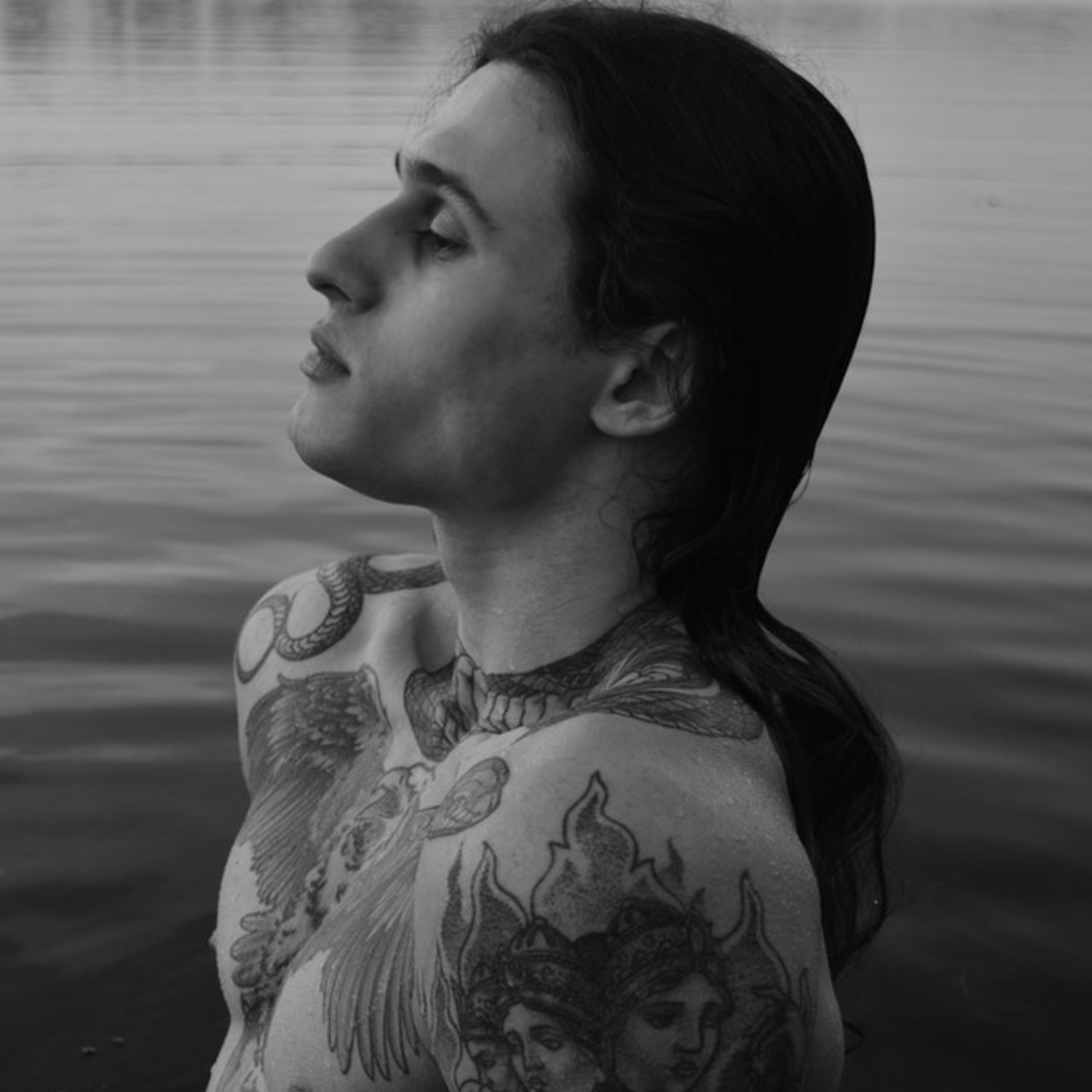 Meditaterra