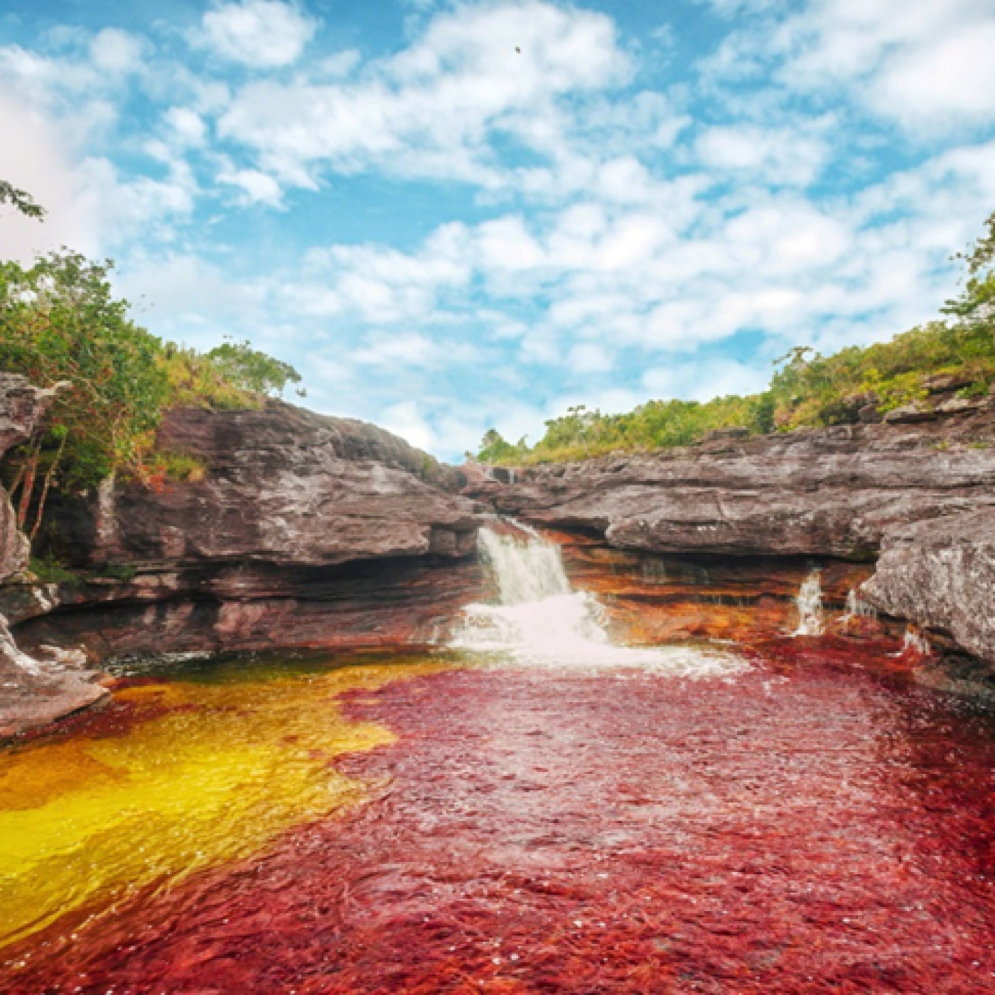 Red de Prensa Alternativa Zur RPAZ