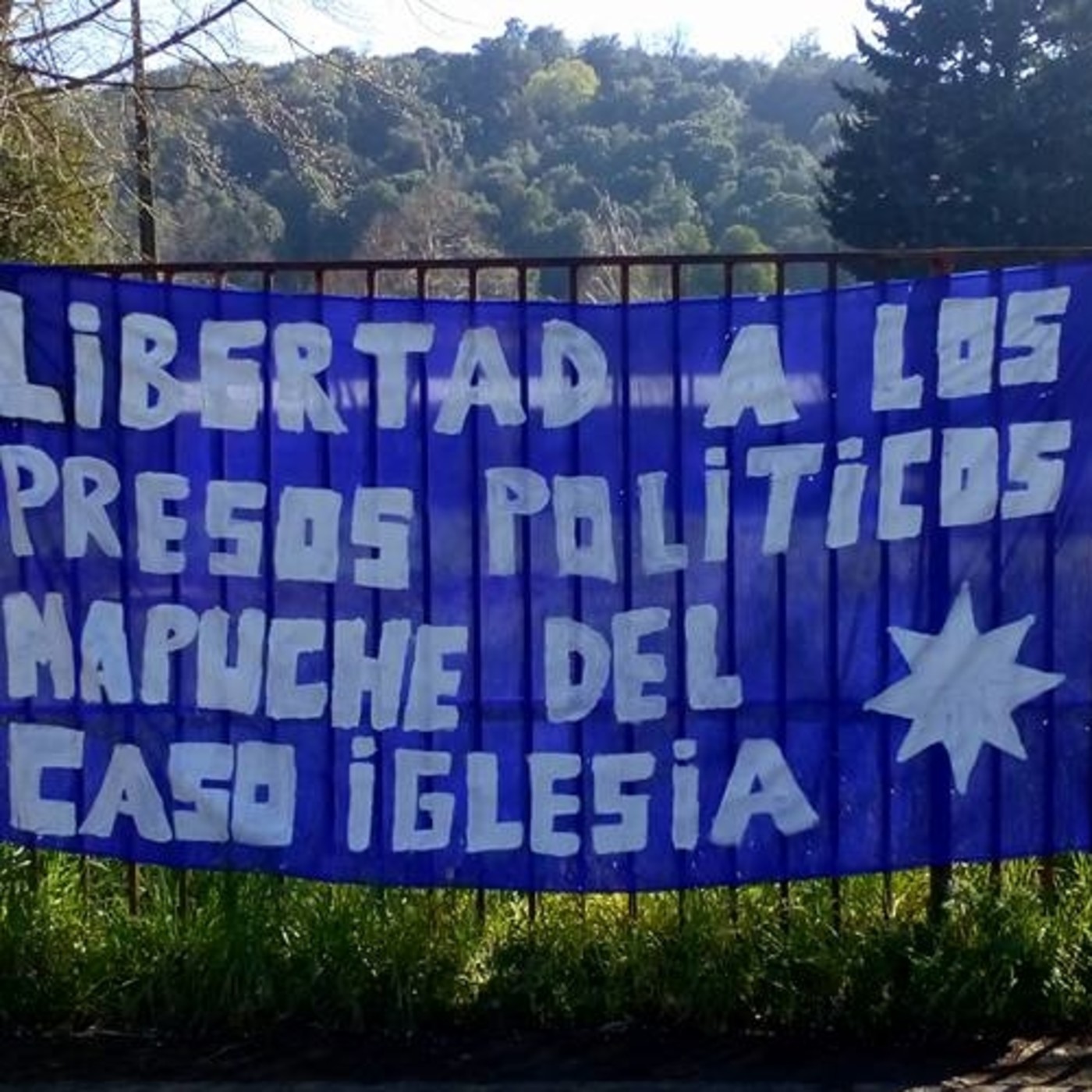 Vitrina distópica