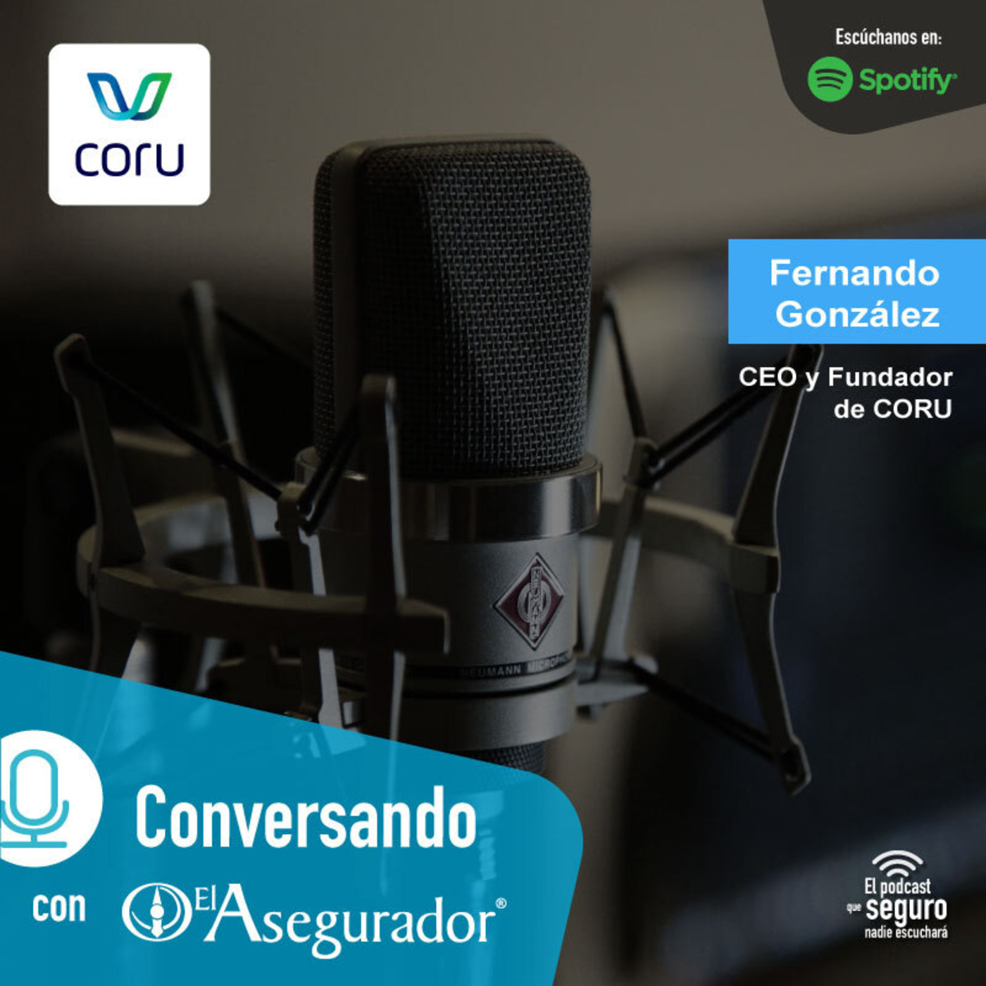 El Asegurador