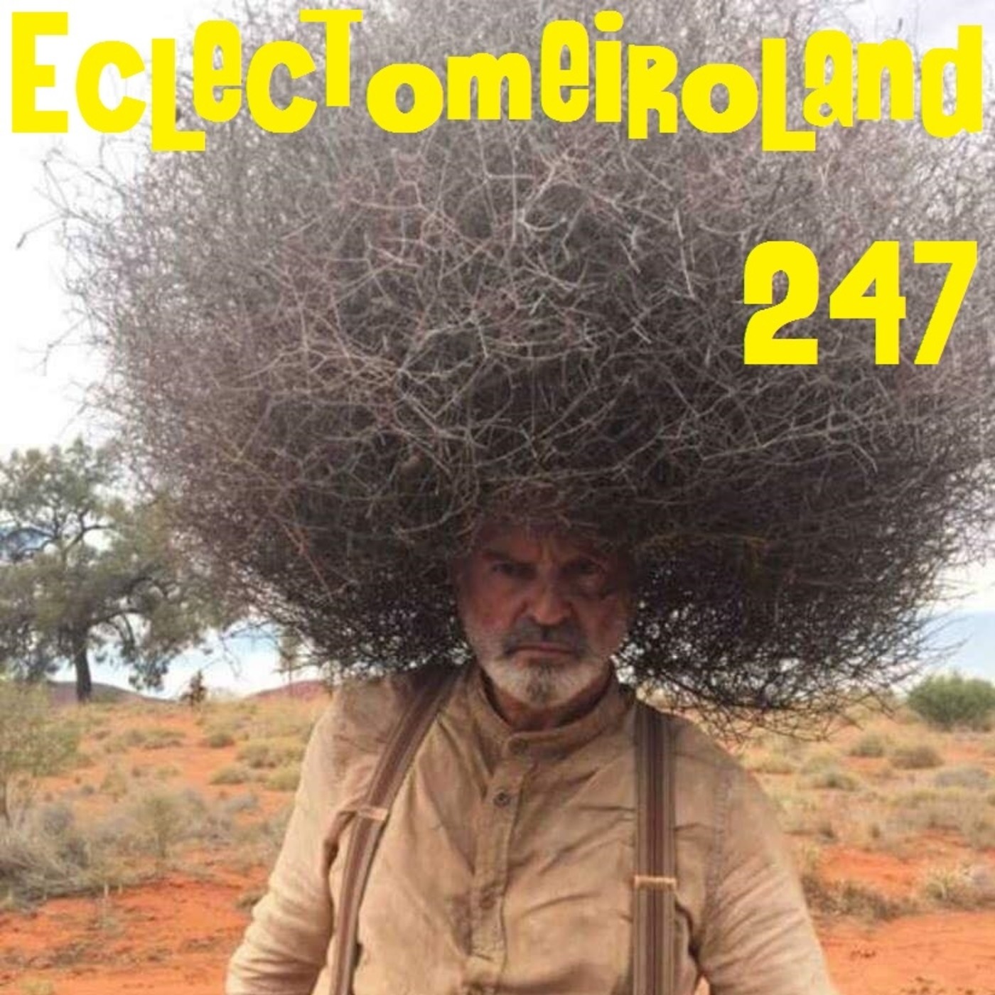 Eclectomeiroland 247 episode artwork