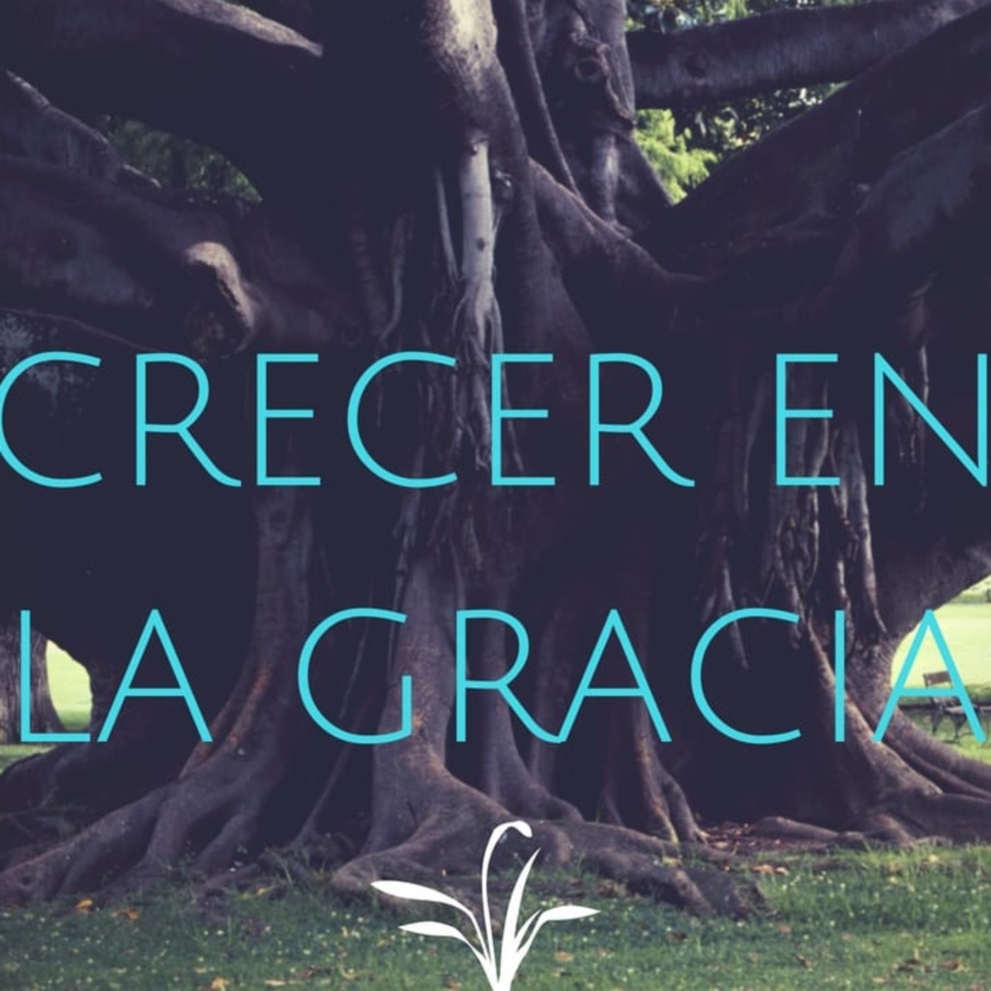 Crecer en la Gracia 1 - Pastor Kenneth Solá episode artwork