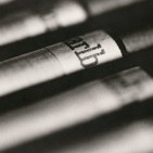 embed image