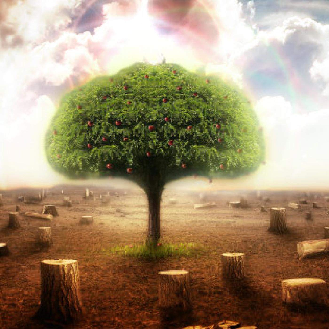 Podcast Despierta Capilla