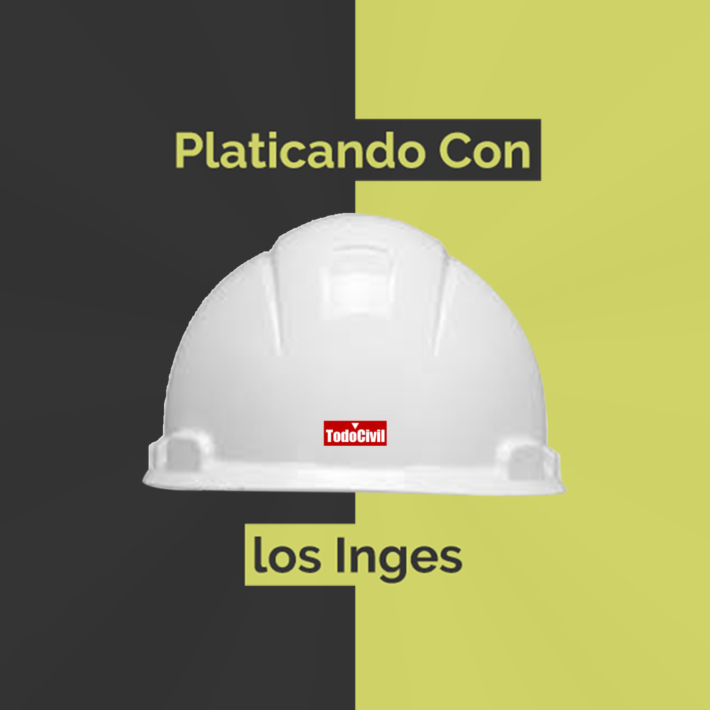 Platicando Con los Inges