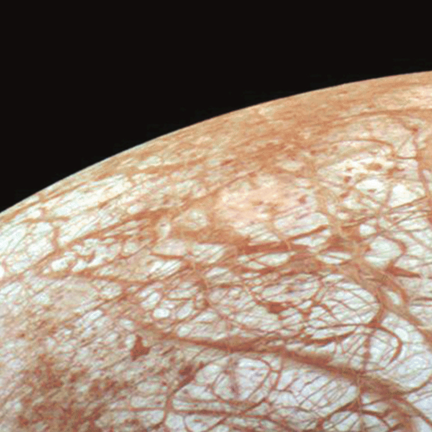 Más vale nunca que tarde