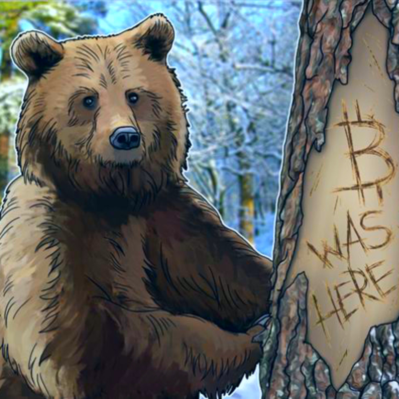 Bitcoin Noticias mercadocoin