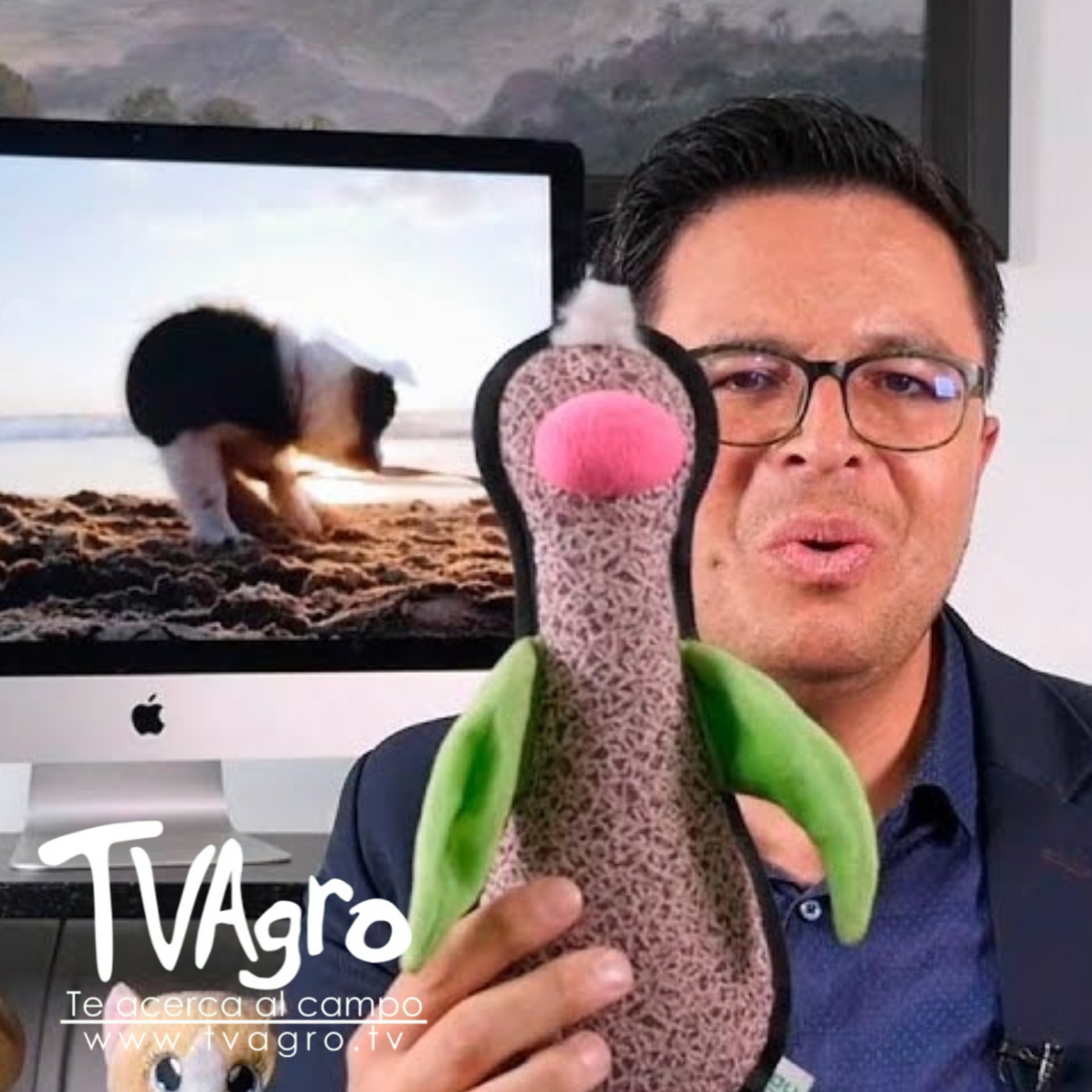 TV AGRO