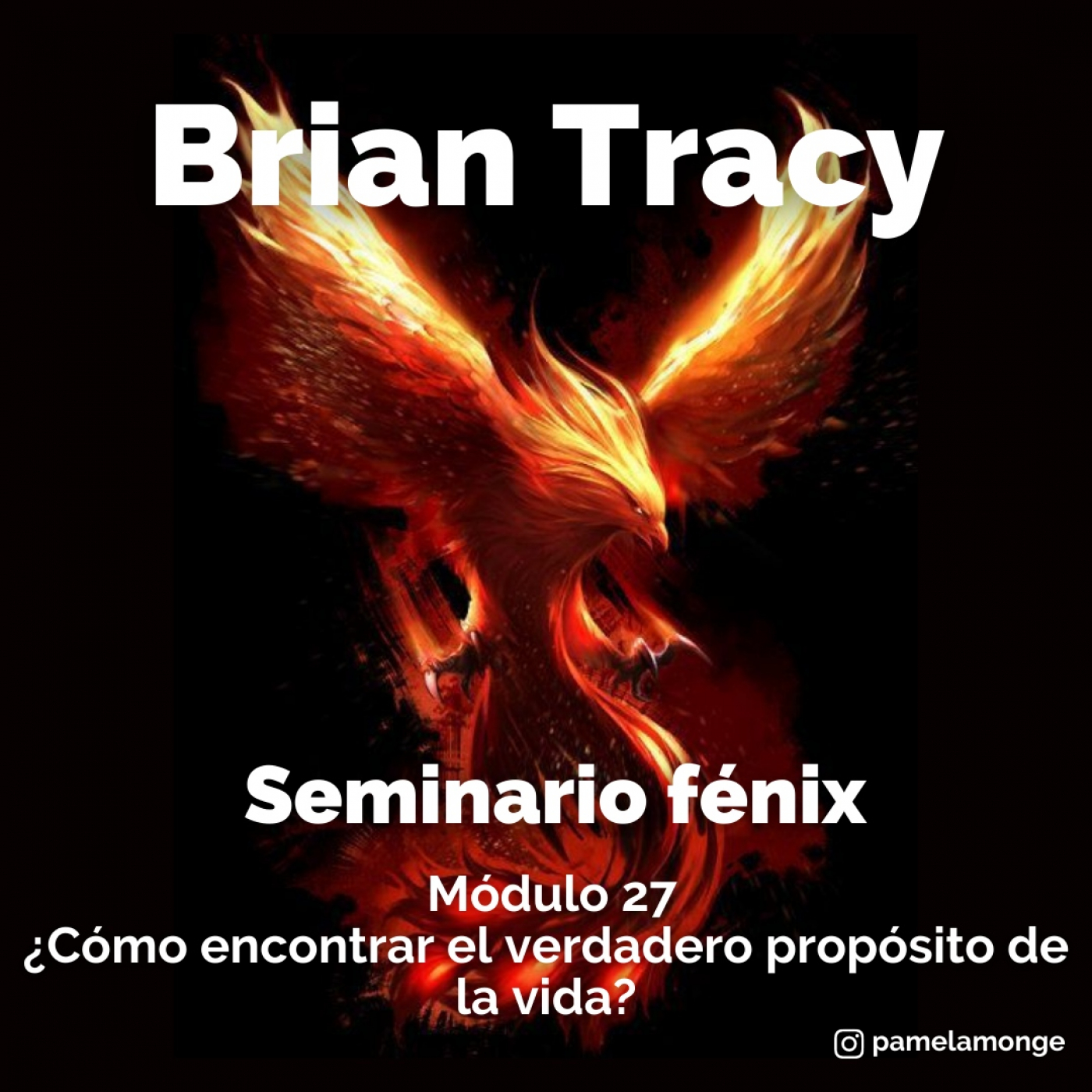Seminario fénix - Brian Tracy